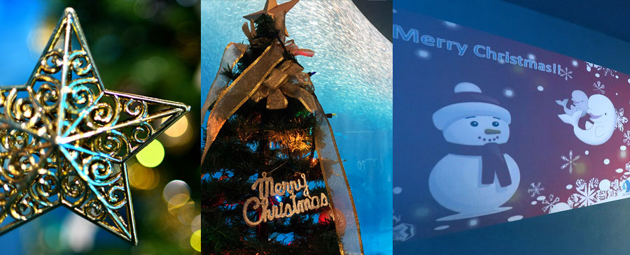 名古屋港水族館 クリスマス アクアリウムイベント　クリスマス装飾